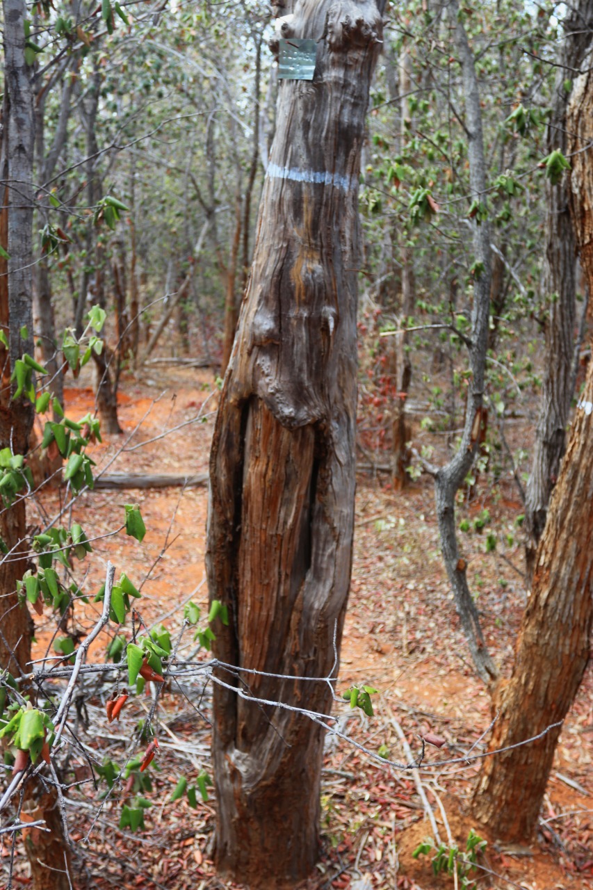 WhatsApp Image 2021-10-30 at 15.02.10 (1)