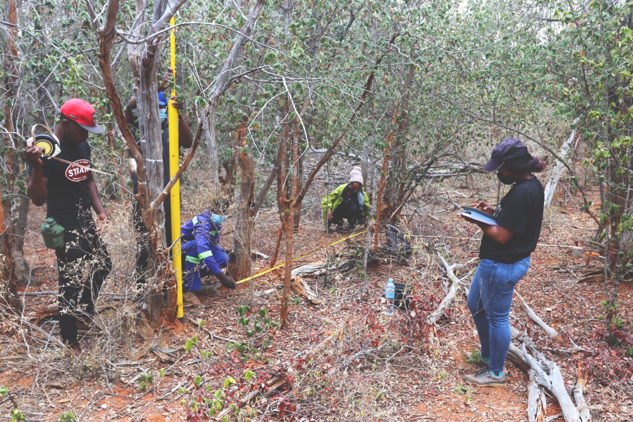 WhatsApp Image 2021-10-30 at 15.02.10