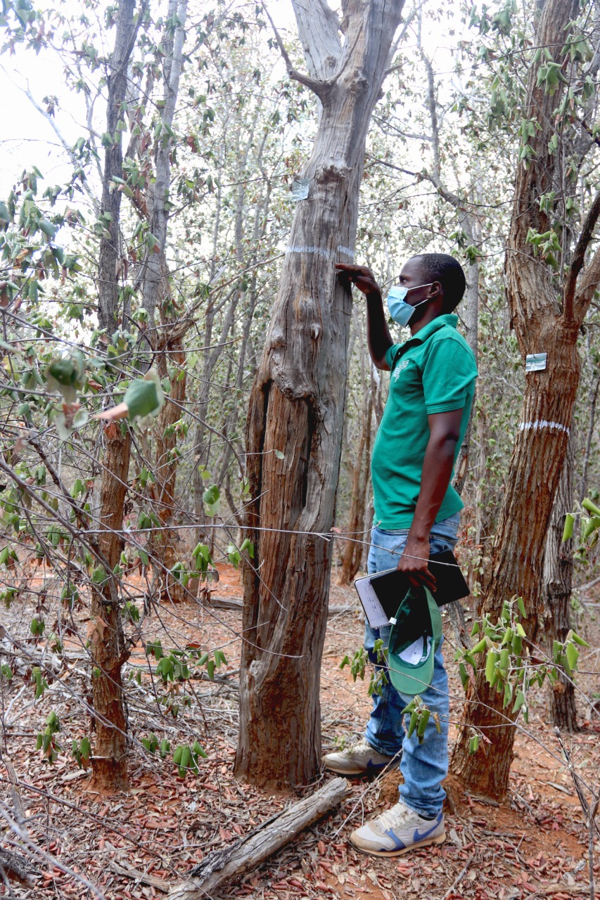 WhatsApp Image 2021-10-30 at 15.02.10 (2)