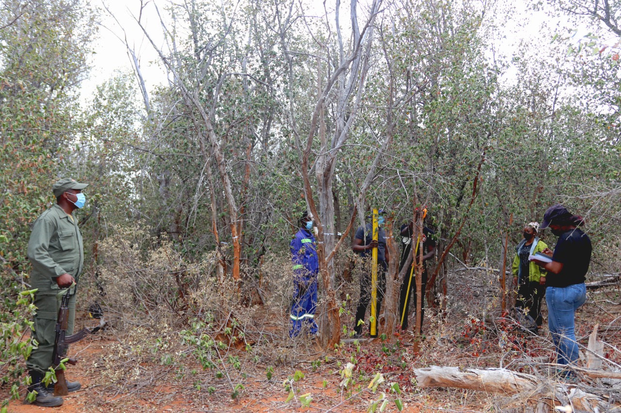 WhatsApp Image 2021-10-30 at 15.02.10 (3)