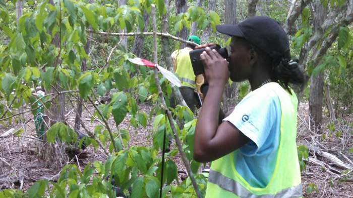Inevnatrio em Inhambane_Tecnio Usando Instrumento de Medicao (Genero)