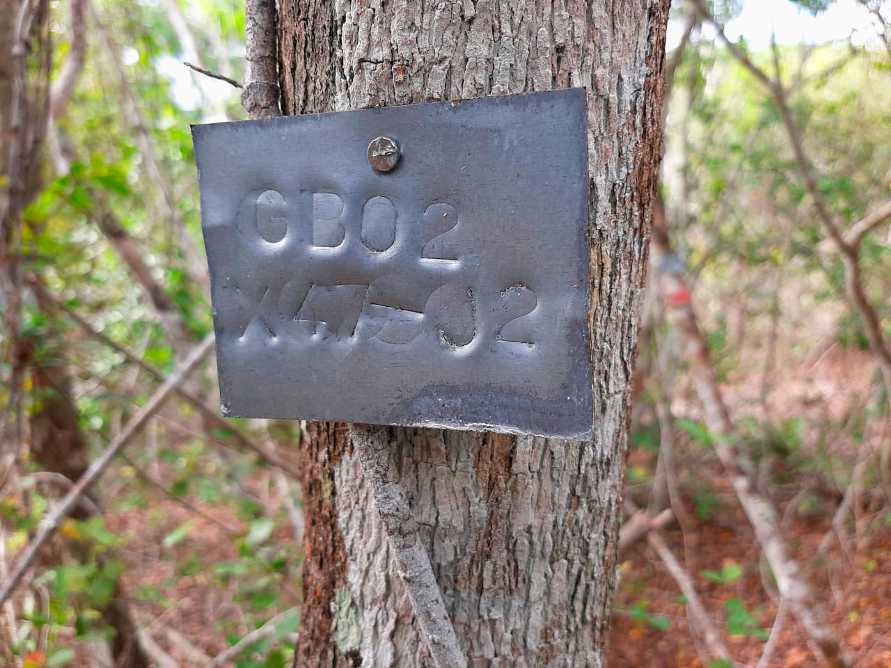 PHOTO-2020-10-30-12-26-31