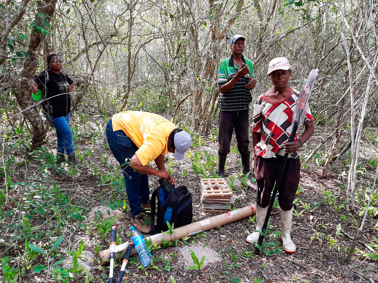 PHOTO-2020-10-30-12-36-02