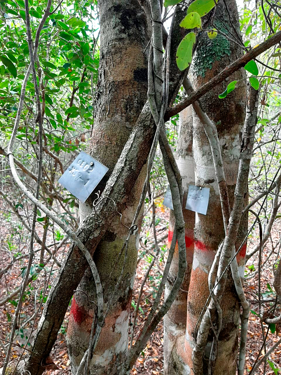 PHOTO-2020-10-30-12-36-17