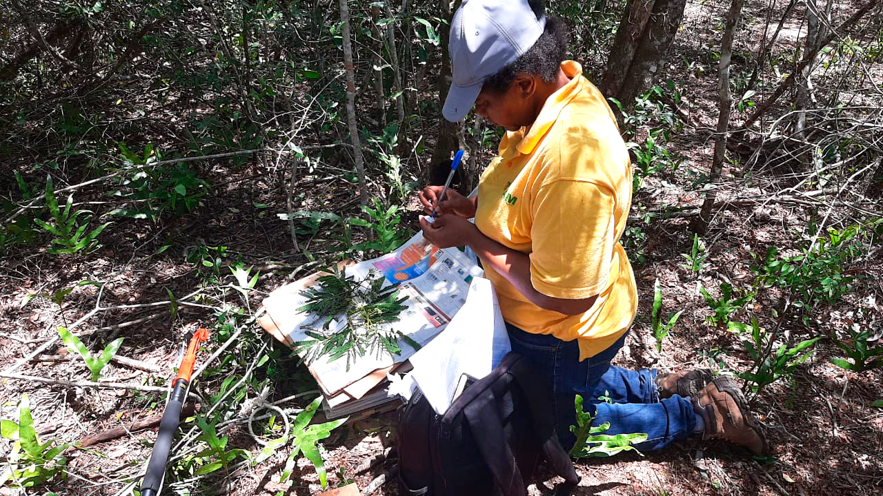 PHOTO-2020-10-30-12-48-36