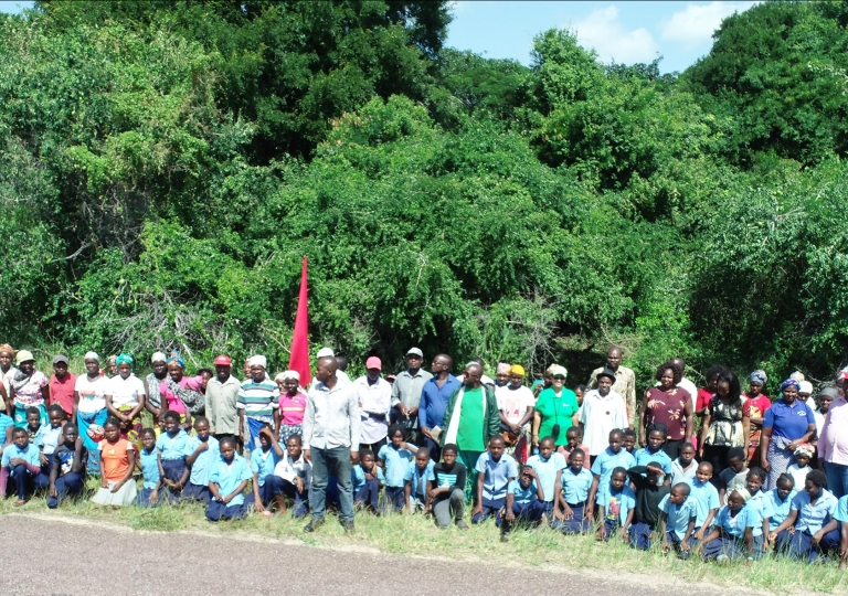 Comemoração do Dia Internacional das Florestas no âmbito de monitoria de parcelas permanentes, distrito de Bilene