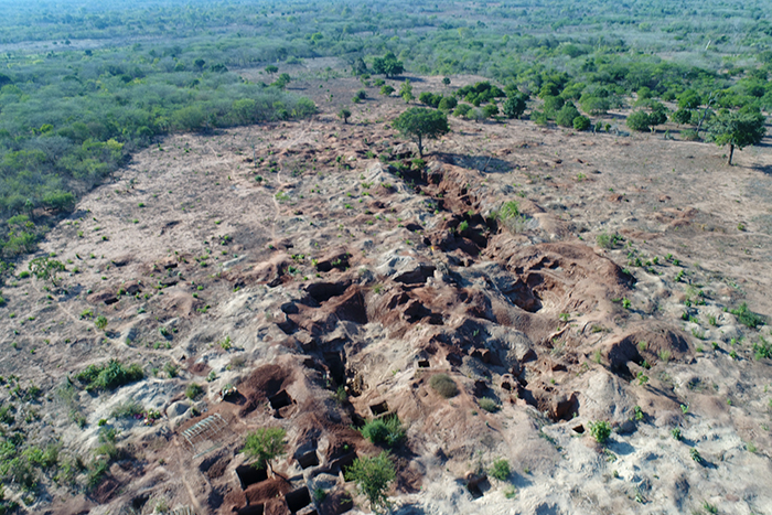 Focos de Desmatamento