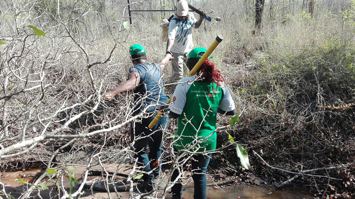 IV Inventário Florestal Nacional