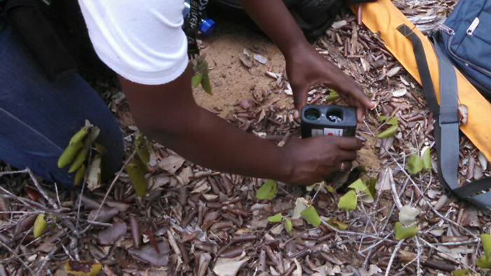 IV Inventário Florestal Nacional