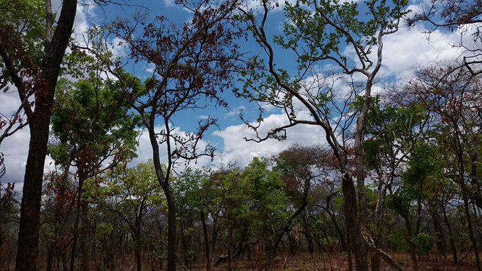 IMG-20171103-WA0030 - Copy