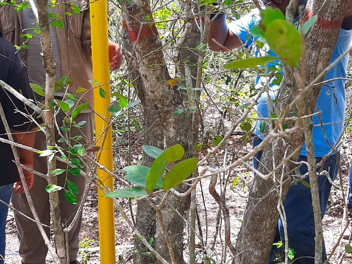 PHOTO-2020-10-30-11-42-35