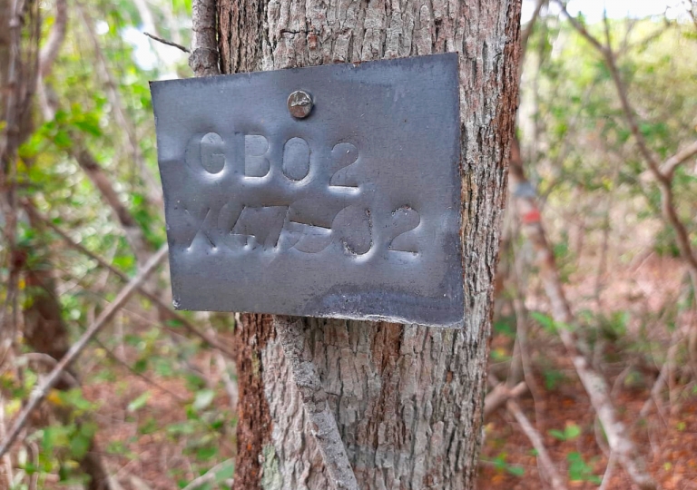 PHOTO-2020-10-30-12-26-31