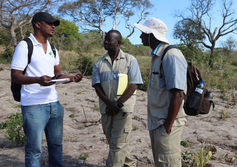 Treinamento em Estabelecimento de Parcelas de amostragem permanentes