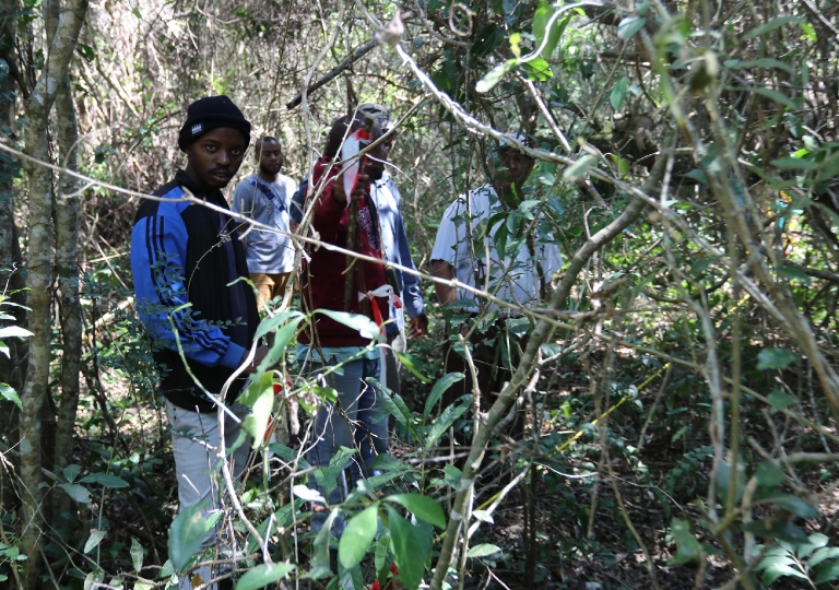 Treinamento em Estabelecimento de Parcelas de amostragem permanentes